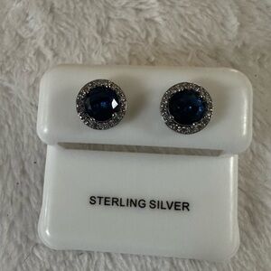 Elegant Blue Sterling Silver Earrings
